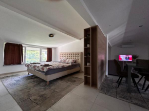 Anton Lux Apartment